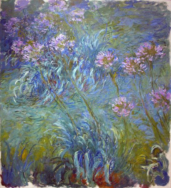 Claude Monet Agapanthus china oil painting image